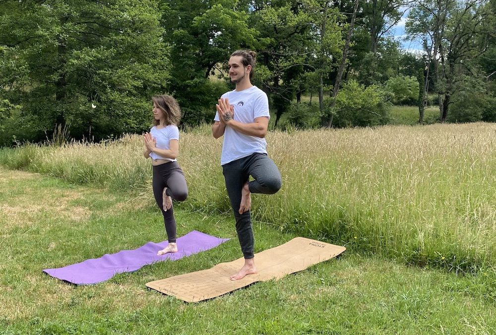 Cours de yoga traditionnels