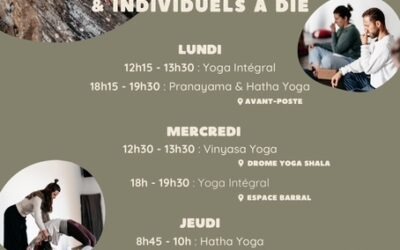 Cours de Yoga Integral
