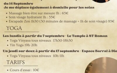Cours de Yoga Vinyasa